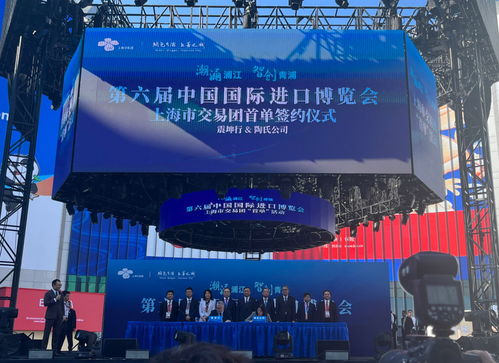 放眼世界，只有中國(guó)可以辦進(jìn)博會(huì)這樣的展會(huì)——從丁一凡觀點(diǎn)看軟件代理服務(wù)的機(jī)遇與前景